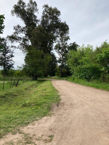 Imagen 3 de 9 de Lote En Venta En Ruta 2