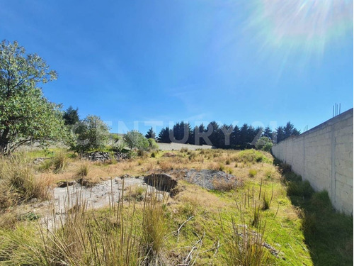 Imagen 11 de 12 de Terreno Venta En Cacalomacan