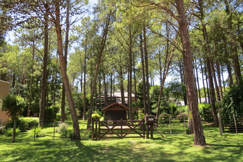 Hermoso Lote - Zona Tridente - De Las Musas - Parquizado - 712 M²