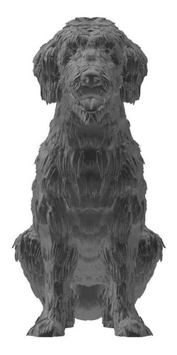 Labradoodle Cachorro Pet Decoração 3d
