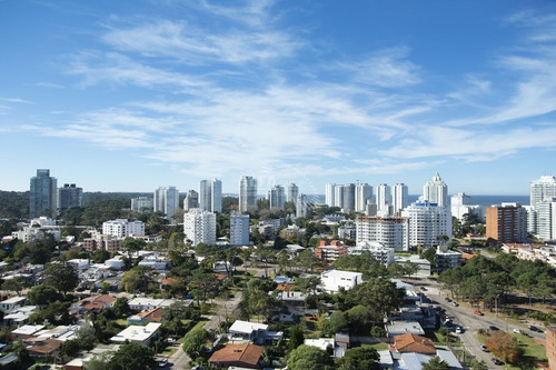 Imagen 11 de 16 de Punta Del Este-mansa