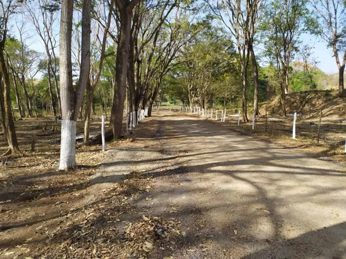 Venta Granja Integral Productiva Avicola Ganadera Y Minera Tinaquillo Edo. Cojedes Negociable Con Financiamiento Jm