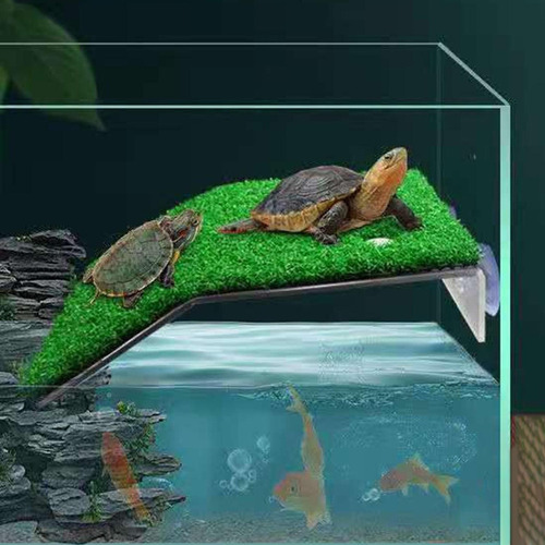 De Descanso Para Tortugas, Rampa De Tortugas De