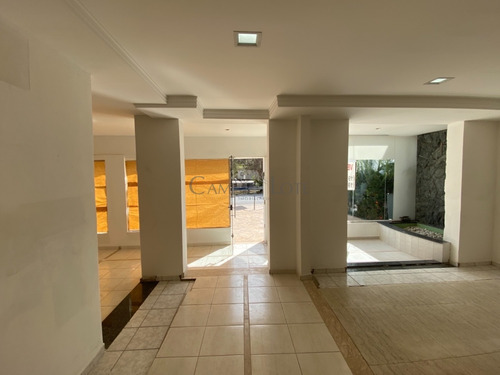 Imagem 5 de 18 de Casa À Venda Em Vila Itapura - Ca001141