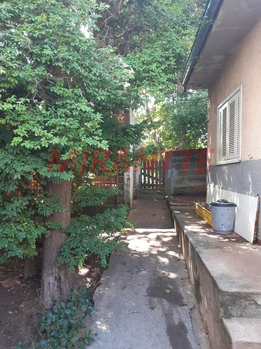 Imagem 15 de 18 de Terreno Em Água Fria - São Paulo, Sp - 354808