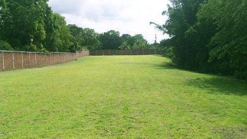 Terreno Rio Tuxpan Veracruz 3500 M² En La Localidad De Santa Rosalia