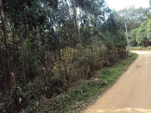 Chácara A Venda No Bairro Centro Em Mandirituba - Pr. - 5255-1