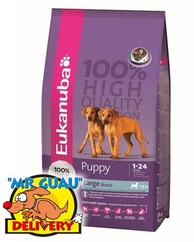 Alimento Balanceado Eukanuba Puppy Large 15kg - Rosario