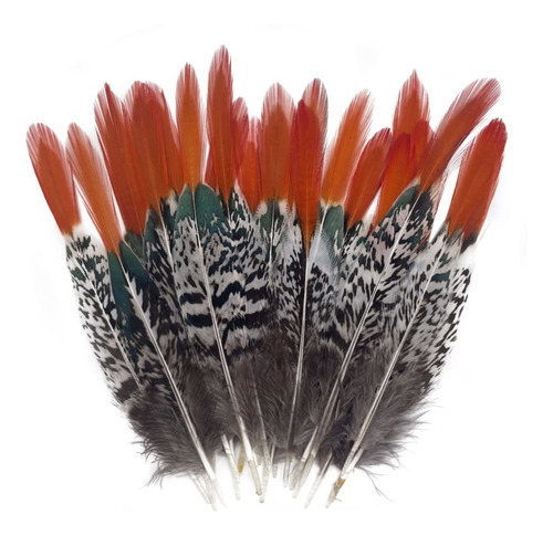 Pluma Natural Faisan Para Idad 10 5.1 In 20 Color Rojo