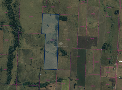 Imagen 4 de 5 de Campo De 16 Hectáreas A Minutos De Tala