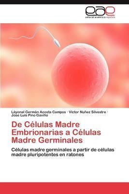 De Celulas Madre Embrionarias A Celulas Madre Germinales ...