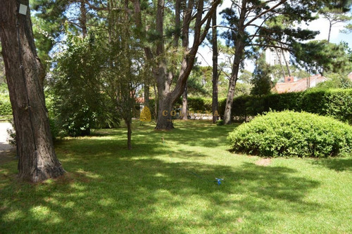 Apartamento En Barrio Cantegril Cerca De Colegios Y Universidad. Consulte !!!!- Ref: 3122