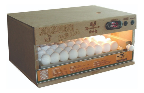 Chocadeira 90 Ovos, Rolagem Automática, Ovoscopia,+ Brinde.
