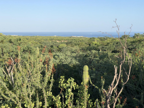 Zacaton Playa Tortuga, Zacaton Developer Land