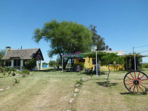Imagen 3 de 13 de Venta Granja Avícola De 5,6 Has Sobre Ruta 11 - Canelones Estacion Pedrera