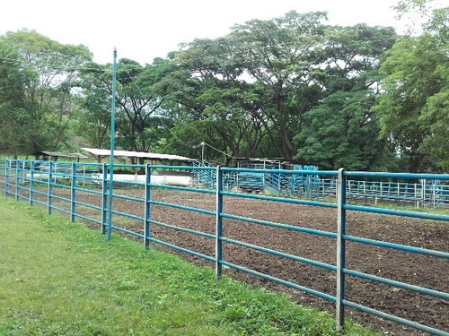 Granja Avicola Ganadera Minera Tinaquillo, Negociable