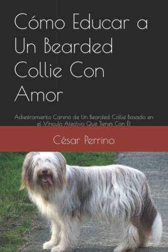 Como Educar A Un Bearded Collie Con Amor: Adiestramiento Can