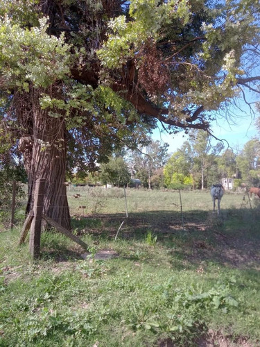 Imagen 6 de 6 de Terreno Tipo Chacra