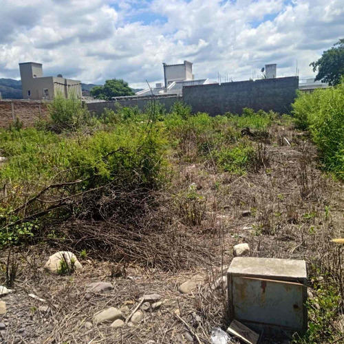Imagen 6 de 9 de Terreno Venta Bº Portal De Lesser Zona Norte 326m2