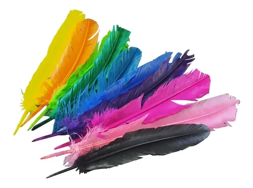 Juego De Plumas De Guajolote Colores / 30 Cms (10 Piezas).