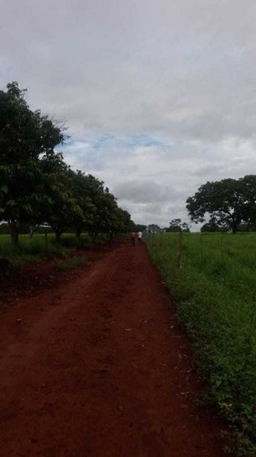 Imagem 14 de 25 de Fazenda Com 178 Hectares Rica Em Agua Em Felixlandia Mg - 36425