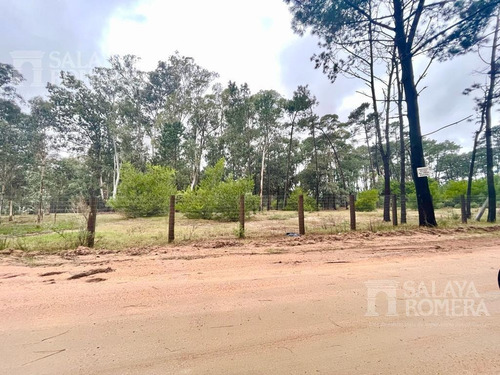 Imagen 6 de 10 de Venta Lote Apto Ph - Zona Comercial - Punta Del Este - Ref:4481520