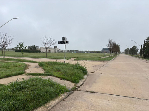 Venta / Lote / Ciudad Verde / Sunchales