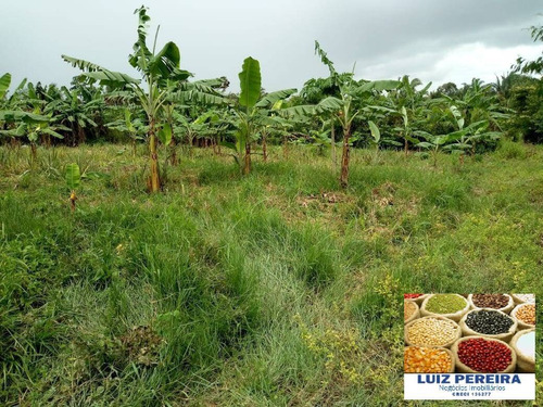 Imagem 6 de 15 de Fazenda À Venda No Vale Do Araguaia - To - De 22 Alqueirões (dupla Aptidão) - 1651