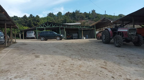 Agrícola En Mallarauco, Melipilla