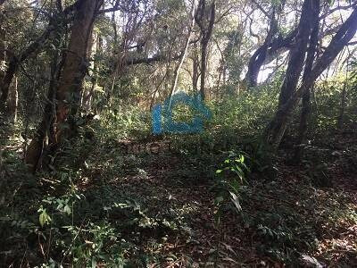 Imagem 5 de 13 de Área 1.300 M2 - Ibiúna - Oportunidade De Ocasião!!! - 192