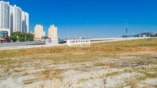 Imagem 10 de 15 de Terreno Para Alugar No Bairro Centro - São Bernardo Do Campo/sp - 361