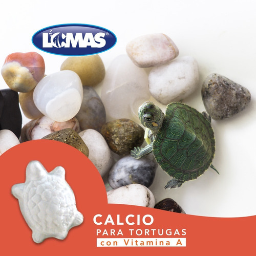 Imagen 2 de 3 de Calcio Para Tortugas Con Vitamina A (2 Piezas) Forma Lomas