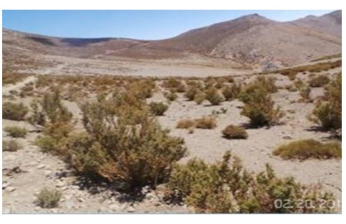 Agrícola En Venta En Monte Patria