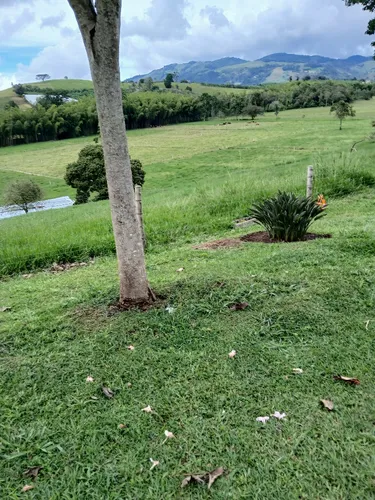 Vendo Finca Ganadera En Restrepo Valle