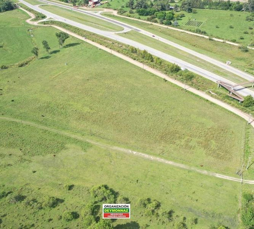 Imagen 15 de 21 de 3,3 Has Sobre Autopista Ruta 14 Colon Entre Ríos