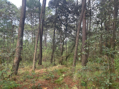 Excelente Terreno A Desarrollar