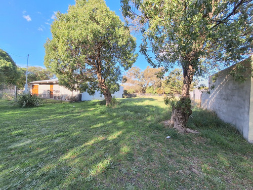 Lote En Playa De Los Lobos