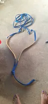 Comprar Vendo Accesorios Para Caballo