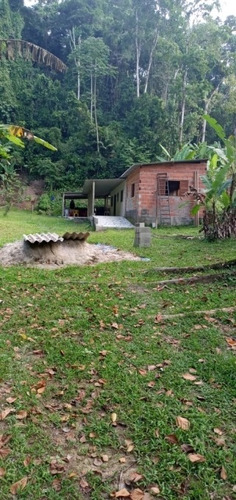 Imagem 15 de 17 de Chácara Venda Caraguatatuba - Sp - Rio Claro - 3676