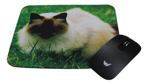 Mouse Pad Coleção Gatos Himalaia, A Mistura Que Deu Certo