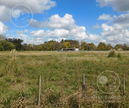 Imagen 11 de 12 de Venta - Lote - Terreno En Remanso - Exaltacion De La Cruz