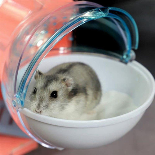 Pulade Pequeña Casa De Baño Para Mascotas, Caja De Plástico