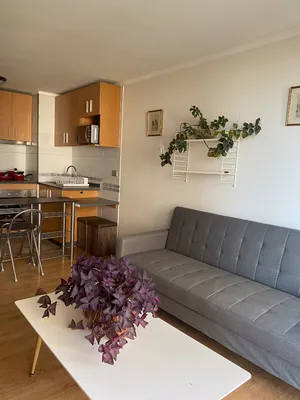 Departamento en arriendo