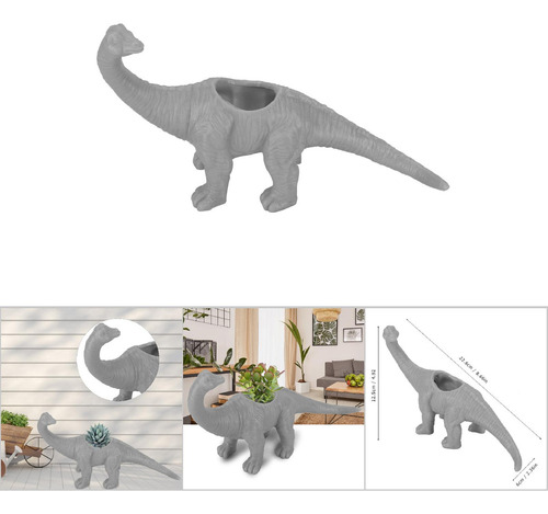 Maceta, Dinosaurio, Animal, Cactus, Plantas Suculentas, Jard
