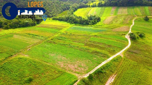Imagem 6 de 26 de 17o Terrenos Bem Localizados