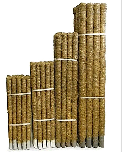 Tutores De Caña De Bambu Y Musgo Para Plantas Palo 80cm