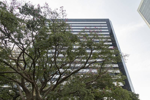 Imagen 2 de 30 de Oficinas Alquiler Catalinas