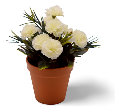 Planta Clavel Del Aire Como Se Planta