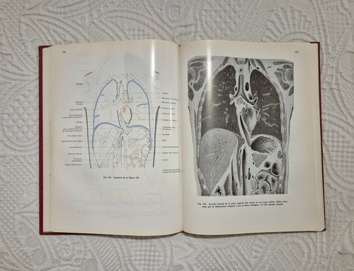 Atlas De Anatomia Humana.g.wolf.heidegger. (Usado)