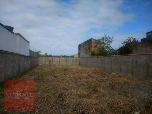Imagem 1 de 4 de Terreno À Venda, 366 M² Por R$ 98.000,00 - Jardim Itapel - Itanhaém/sp - Te0294